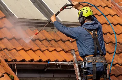 Démoussage et hydrofuge de toiture à Lacaugne